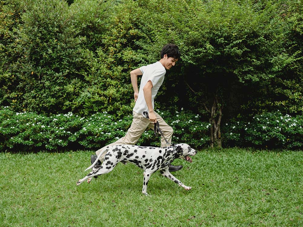 No, I prefer a breed that's already well-behaved
