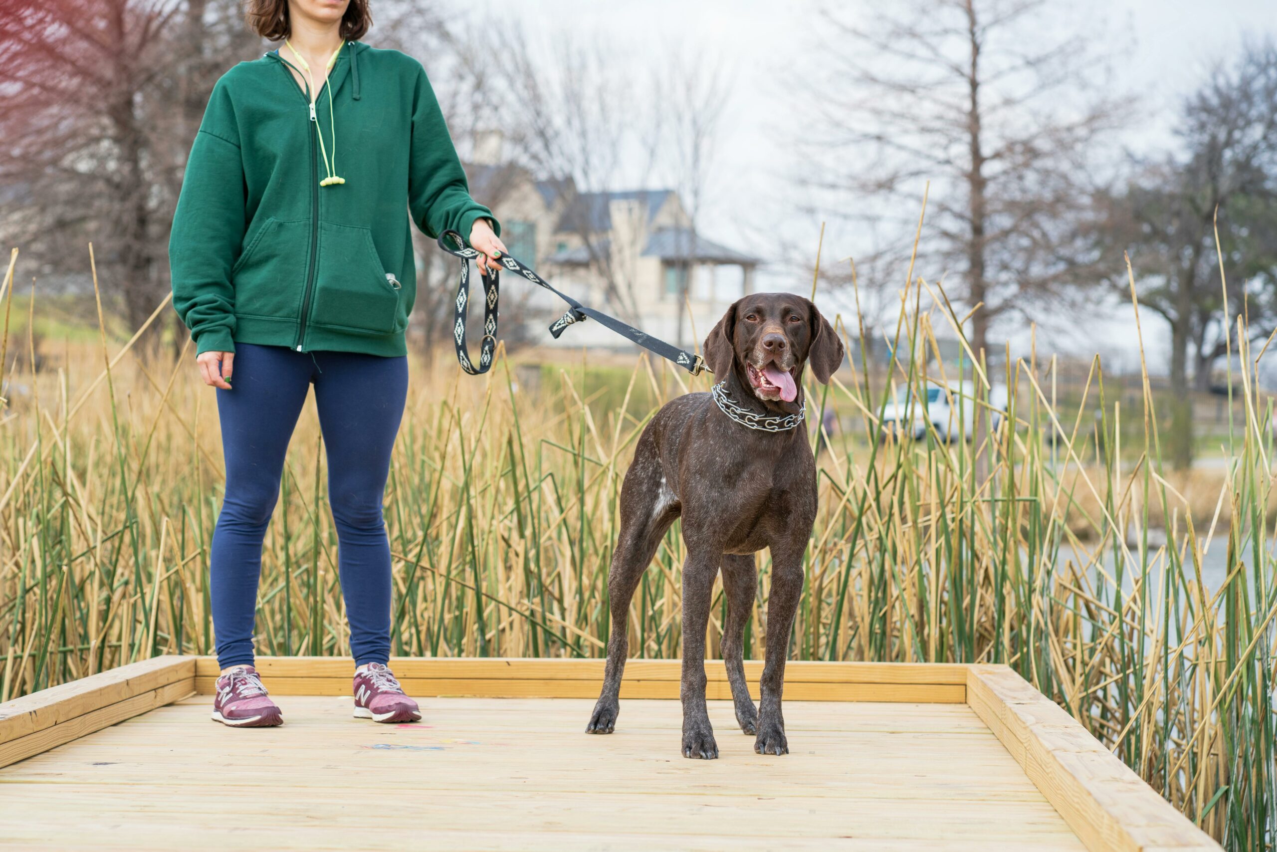 Outdoor adventures and walks